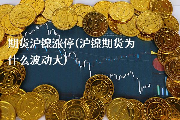 期货沪镍涨停(沪镍期货为什么波动大) (https://www.njaxzs.com/) 内盘期货 第1张