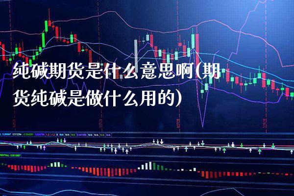 纯碱期货是什么意思啊(期货纯碱是做什么用的) (https://www.njaxzs.com/) 原油期货 第1张