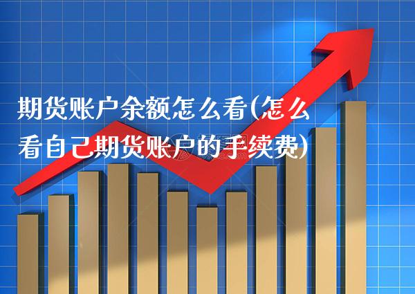 期货账户余额怎么看(怎么看自己期货账户的手续费) (https://www.njaxzs.com/) 期货开户 第1张