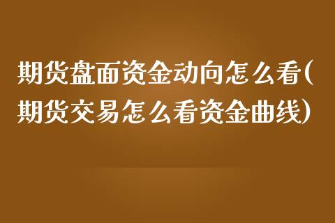 期货盘面资金动向怎么看(期货交易怎么看资金曲线) (https://www.njaxzs.com/) 期货投资 第1张