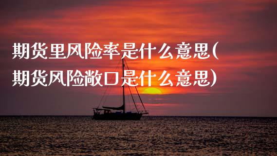 期货里风险率是什么意思(期货风险敞口是什么意思) (https://www.njaxzs.com/) 期货投资 第1张