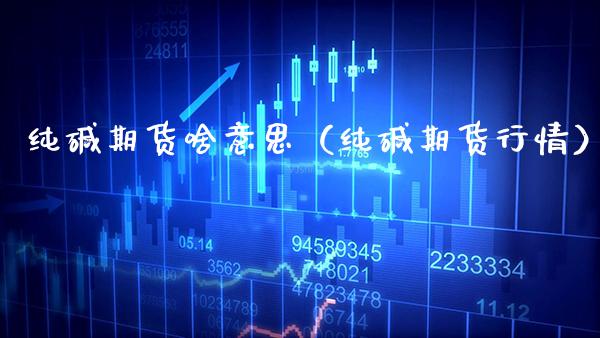 纯碱期货啥意思（纯碱期货行情） (https://www.njaxzs.com/) 期货开户 第1张