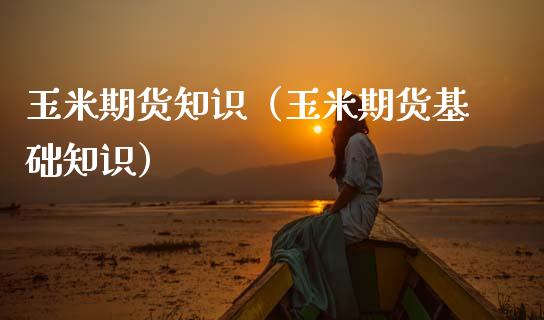 玉米期货知识（玉米期货基础知识） (https://www.njaxzs.com/) 内盘期货 第1张