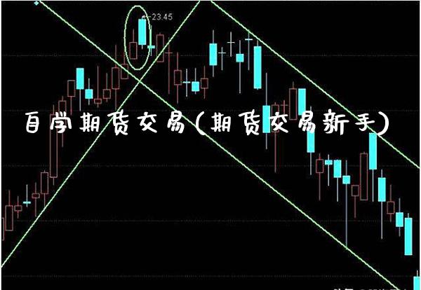 自学期货交易(期货交易新手) (https://www.njaxzs.com/) 期货直播间 第1张