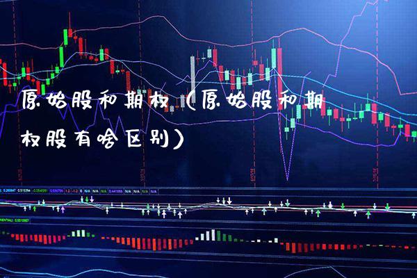 原始股和期权（原始股和期权股有啥区别） (https://www.njaxzs.com/) 期货直播间 第1张