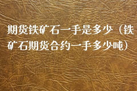 期货铁矿石一手是多少（铁矿石期货合约一手多少） (https://www.njaxzs.com/) 期货直播间 第1张