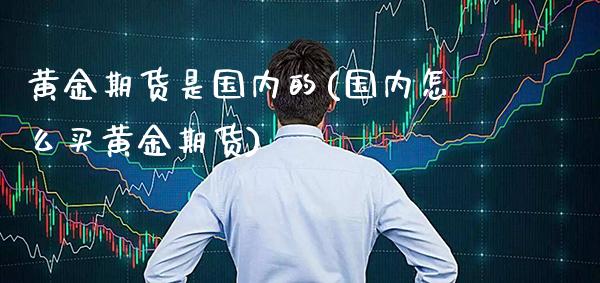 黄金期货是国内的(国内怎么买黄金期货) (https://www.njaxzs.com/) 期货直播间 第1张