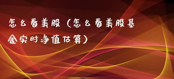 怎么看美股（怎么看美股基金实时净值估算） (https://www.njaxzs.com/) 内盘期货 第1张