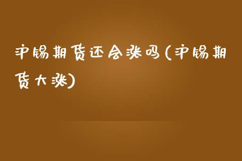沪锡期货还会涨吗(沪锡期货大涨) (https://www.njaxzs.com/) 期货直播间 第1张