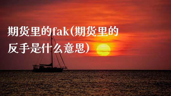 期货里的fak(期货里的反手是什么意思) (https://www.njaxzs.com/) 原油期货 第1张