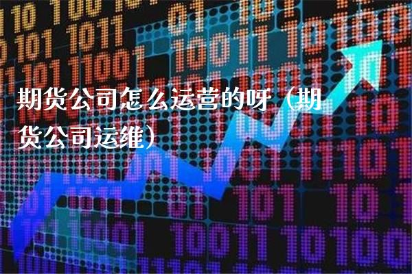 期货公司怎么运营的呀（期货公司运维） (https://www.njaxzs.com/) 原油期货 第1张