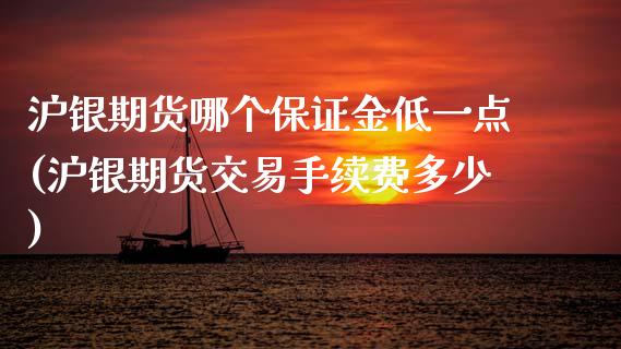 沪银期货哪个保证金低一点(沪银期货交易手续费多少) (https://www.njaxzs.com/) 黄金期货 第1张