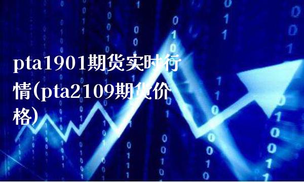 pta1901期货实时行情(pta2109期货价格) (https://www.njaxzs.com/) 原油期货 第1张