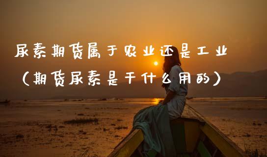 尿素期货属于农业还是工业（期货尿素是干什么用的） (https://www.njaxzs.com/) 期货直播间 第1张