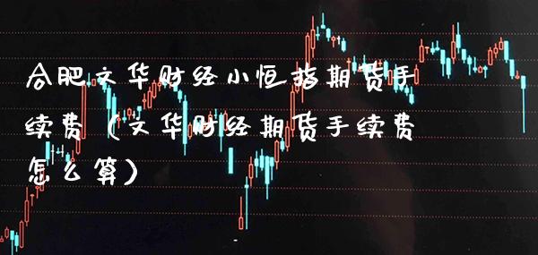 合肥文华财经小恒指期货手续费（文华财经期货手续费怎么算） (https://www.njaxzs.com/) 期货直播间 第1张