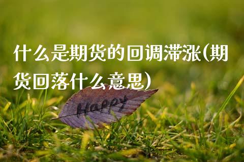 什么是期货的回调滞涨(期货回落什么意思) (https://www.njaxzs.com/) 期货行情 第1张