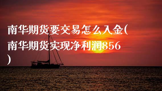 南华期货要交易怎么入金(南华期货实现净利润856) (https://www.njaxzs.com/) 内盘期货 第1张