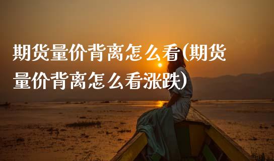 期货量价背离怎么看(期货量价背离怎么看涨跌) (https://www.njaxzs.com/) 期货行情 第1张