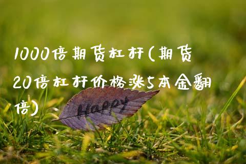 1000倍期货杠杆(期货20倍杠杆价格涨5本金翻倍) (https://www.njaxzs.com/) 内盘期货 第1张