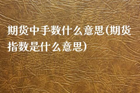 期货中手数什么意思(期货指数是什么意思) (https://www.njaxzs.com/) 期货直播间 第1张