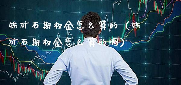 铁矿石期权金怎么算的（铁矿石期权金怎么算的啊） (https://www.njaxzs.com/) 期货行情 第1张