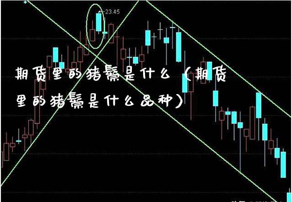 期货里的猪鬃是什么（期货里的猪鬃是什么品种） (https://www.njaxzs.com/) 期货直播间 第1张