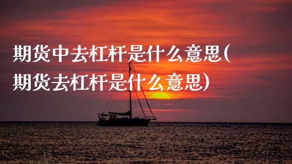 期货中去杠杆是什么意思(期货去杠杆是什么意思) (https://www.njaxzs.com/) 期货投资 第1张