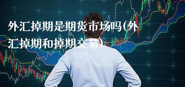 外汇掉期是期货市场吗(外汇掉期和掉期交易) (https://www.njaxzs.com/) 期货行情 第1张