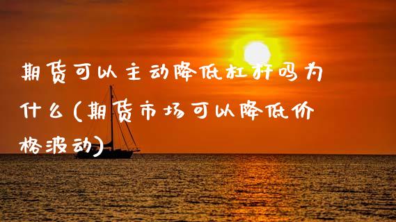 期货可以主动降低杠杆吗为什么(期货市场可以降低价格波动) (https://www.njaxzs.com/) 原油期货 第1张