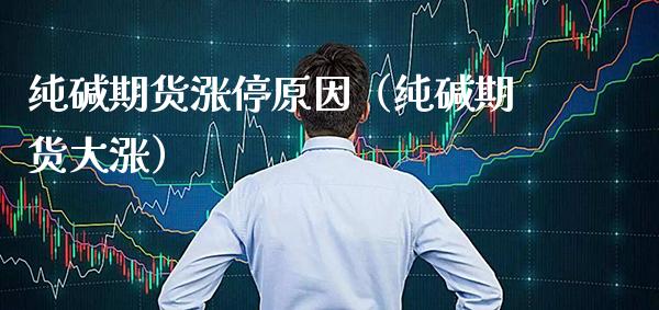 纯碱期货涨停原因（纯碱期货大涨） (https://www.njaxzs.com/) 内盘期货 第1张