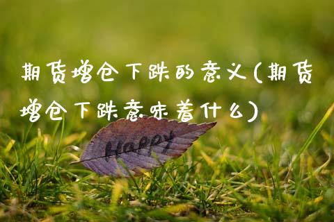 期货增仓下跌的意义(期货增仓下跌意味着什么) (https://www.njaxzs.com/) 黄金期货 第1张