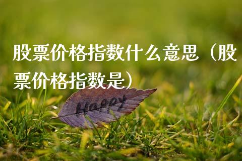 股票指数什么意思（股票指数是） (https://www.njaxzs.com/) 期货直播间 第1张