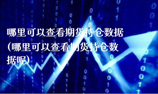 哪里可以查看期货持仓数据(哪里可以查看期货持仓数据呢) (https://www.njaxzs.com/) 黄金期货 第1张