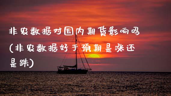 非农数据对国内期货影响吗(非农数据好于预期是涨还是跌) (https://www.njaxzs.com/) 内盘期货 第1张