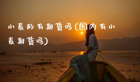 小麦的有期货吗(国内有小麦期货吗) (https://www.njaxzs.com/) 期货行情 第1张