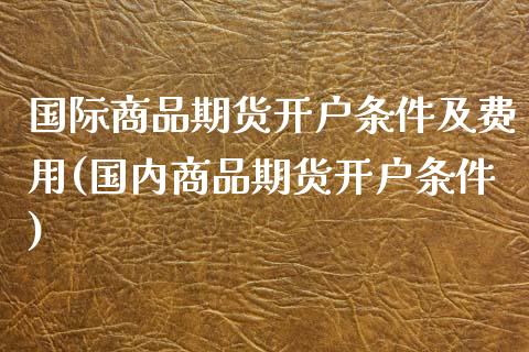 国际商品期货开户条件及费用(国内商品期货开户条件) (https://www.njaxzs.com/) 期货直播间 第1张