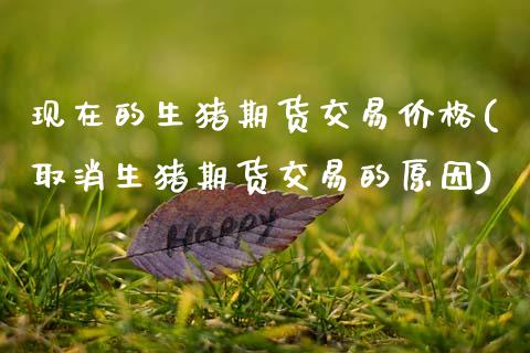 现在的生猪期货交易价格(取消生猪期货交易的原因) (https://www.njaxzs.com/) 期货行情 第1张