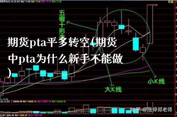 期货pta平多转空(期货中pta为什么新手不能做) (https://www.njaxzs.com/) 期货开户 第1张