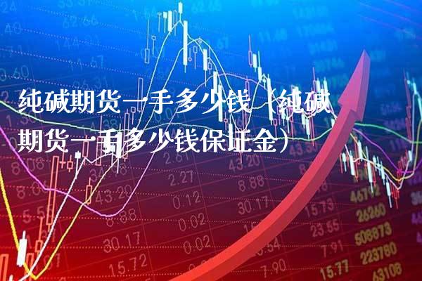 纯碱期货一手多少钱（纯碱期货一手多少钱保证金） (https://www.njaxzs.com/) 内盘期货 第1张