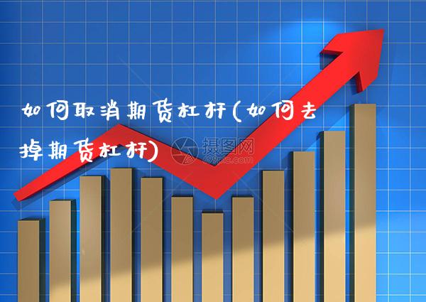 如何取消期货杠杆(如何去掉期货杠杆) (https://www.njaxzs.com/) 期货行情 第1张