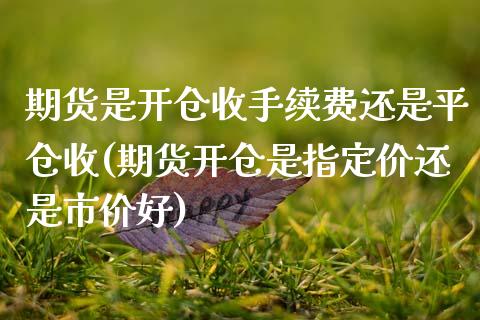 期货是开仓收手续费还是平仓收(期货开仓是指定价还是市价好) (https://www.njaxzs.com/) 内盘期货 第1张