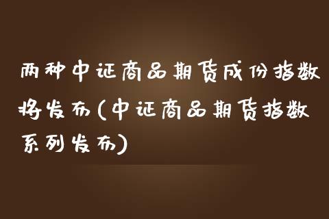 两种中证商品期货成份指数将发布(中证商品期货指数系列发布) (https://www.njaxzs.com/) 期货投资 第1张