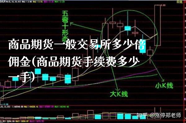 商品期货一般交易所多少倍佣金(商品期货手续费多少一手) (https://www.njaxzs.com/) 原油期货 第1张