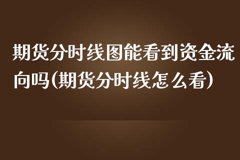 期货分时线图能看到资金流向吗(期货分时线怎么看) (https://www.njaxzs.com/) 内盘期货 第1张