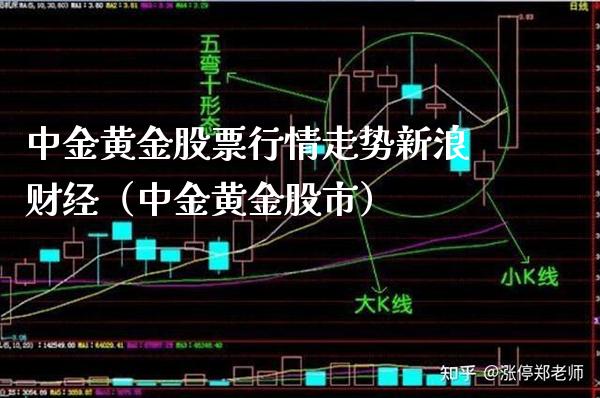 中金黄金股票行情走势新浪财经（中金黄金股市） (https://www.njaxzs.com/) 期货直播间 第1张