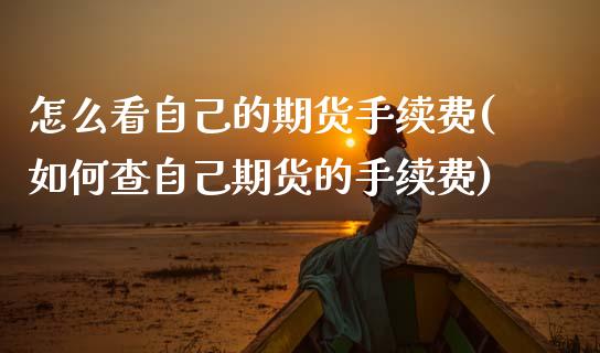 怎么看自己的期货手续费(如何查自己期货的手续费) (https://www.njaxzs.com/) 期货开户 第1张