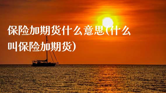 保险加期货什么意思(什么叫保险加期货) (https://www.njaxzs.com/) 期货直播间 第1张