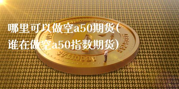 哪里可以做空a50期货(谁在做空a50指数期货) (https://www.njaxzs.com/) 原油期货 第1张