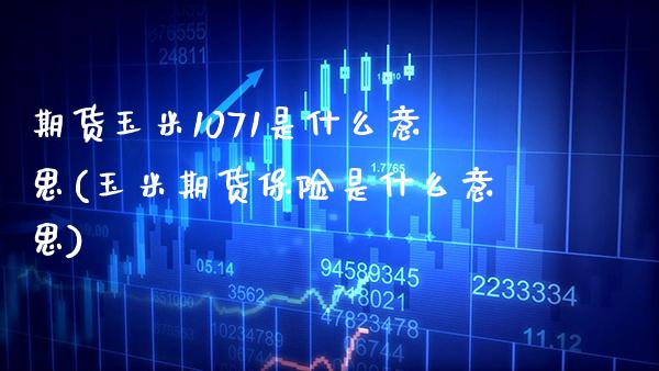 期货玉米1071是什么意思(玉米期货保险是什么意思) (https://www.njaxzs.com/) 期货开户 第1张