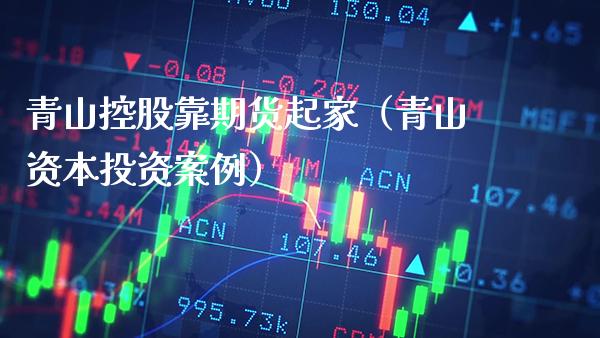 青山控股靠期货起家（青山资本投资案例） (https://www.njaxzs.com/) 期货直播间 第1张